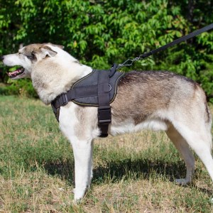 Поводок для лайки «Tight rein» карабин HS